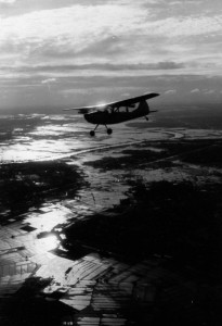 O-1 Bird Dog O-1 Bird Dog